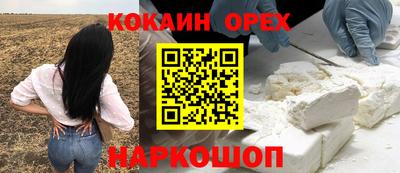 ПСИЛОЦИБИНОВЫЕ ГРИБЫ Кандалакша